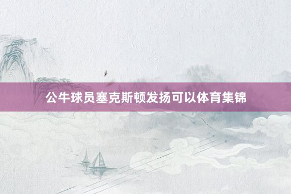 公牛球员塞克斯顿发扬可以体育集锦