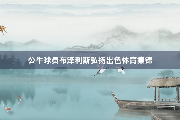 公牛球员布泽利斯弘扬出色体育集锦