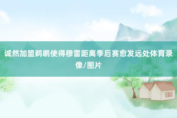 诚然加盟鹈鹕使得穆雷距离季后赛愈发远处体育录像/图片