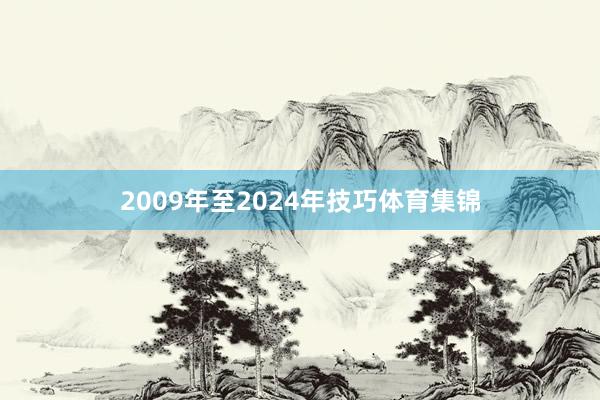 2009年至2024年技巧体育集锦