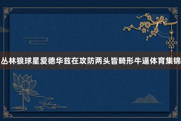 丛林狼球星爱德华兹在攻防两头皆畸形牛逼体育集锦