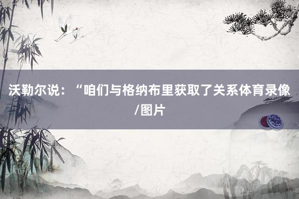 沃勒尔说：“咱们与格纳布里获取了关系体育录像/图片