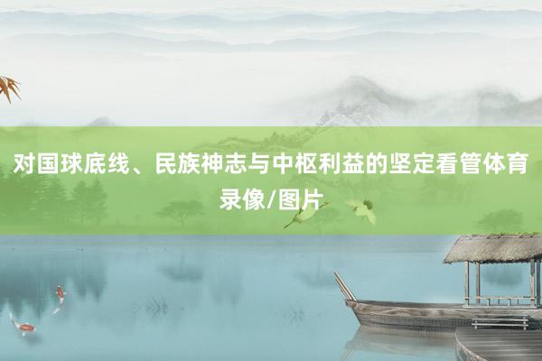 对国球底线、民族神志与中枢利益的坚定看管体育录像/图片