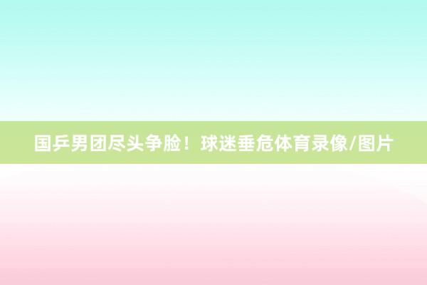 国乒男团尽头争脸！球迷垂危体育录像/图片