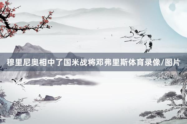 穆里尼奥相中了国米战将邓弗里斯体育录像/图片