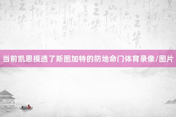当前凯恩摸透了斯图加特的防地命门体育录像/图片