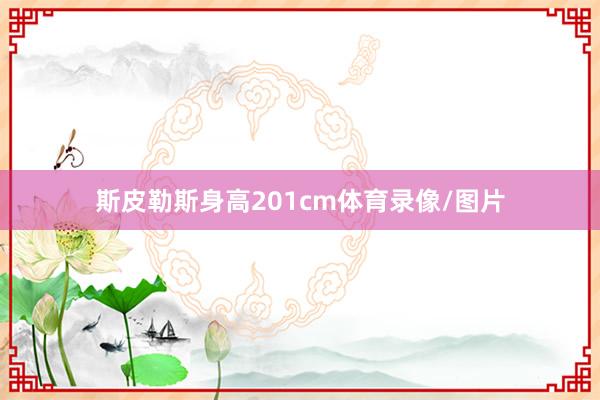 斯皮勒斯身高201cm体育录像/图片