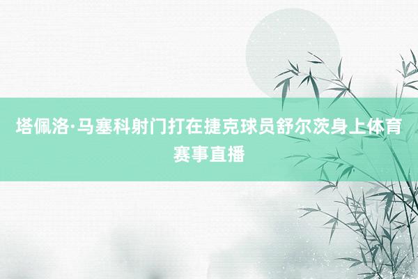 塔佩洛·马塞科射门打在捷克球员舒尔茨身上体育赛事直播