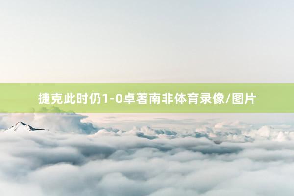 捷克此时仍1-0卓著南非体育录像/图片
