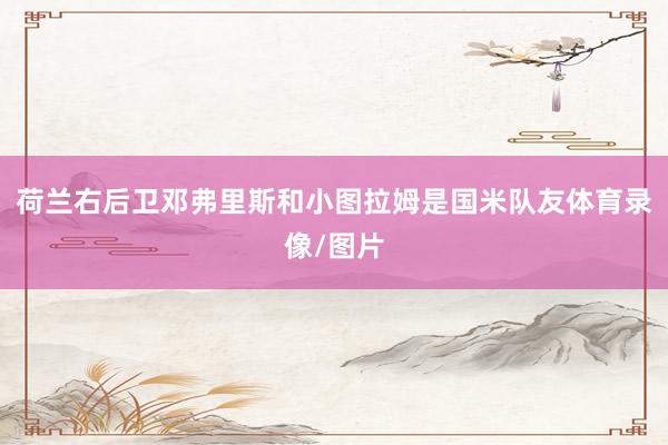 荷兰右后卫邓弗里斯和小图拉姆是国米队友体育录像/图片