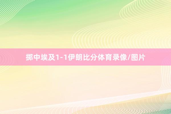 掷中埃及1-1伊朗比分体育录像/图片