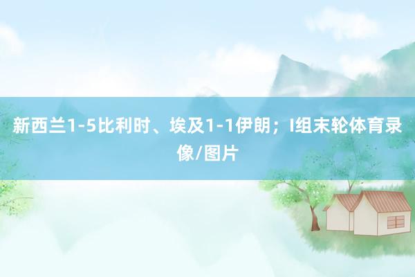 新西兰1-5比利时、埃及1-1伊朗；I组末轮体育录像/图片